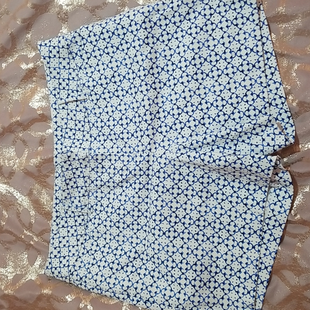 The Limited White and Blue Patterned Women’s Shorts